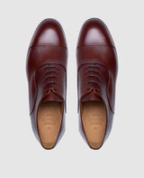 Winston CO1 - Schwarzbraun